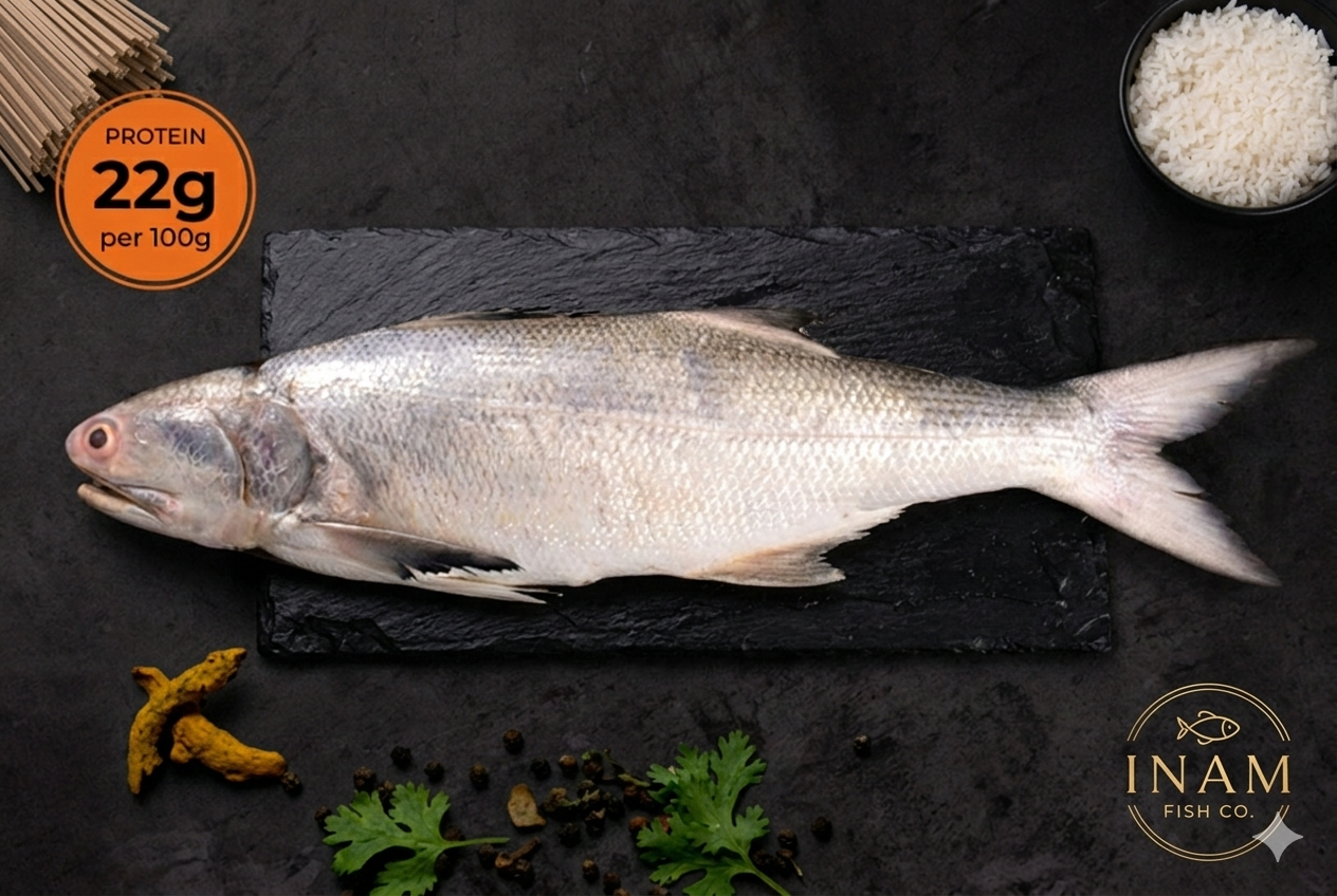 Rawas Indian Salmon premium omega-3